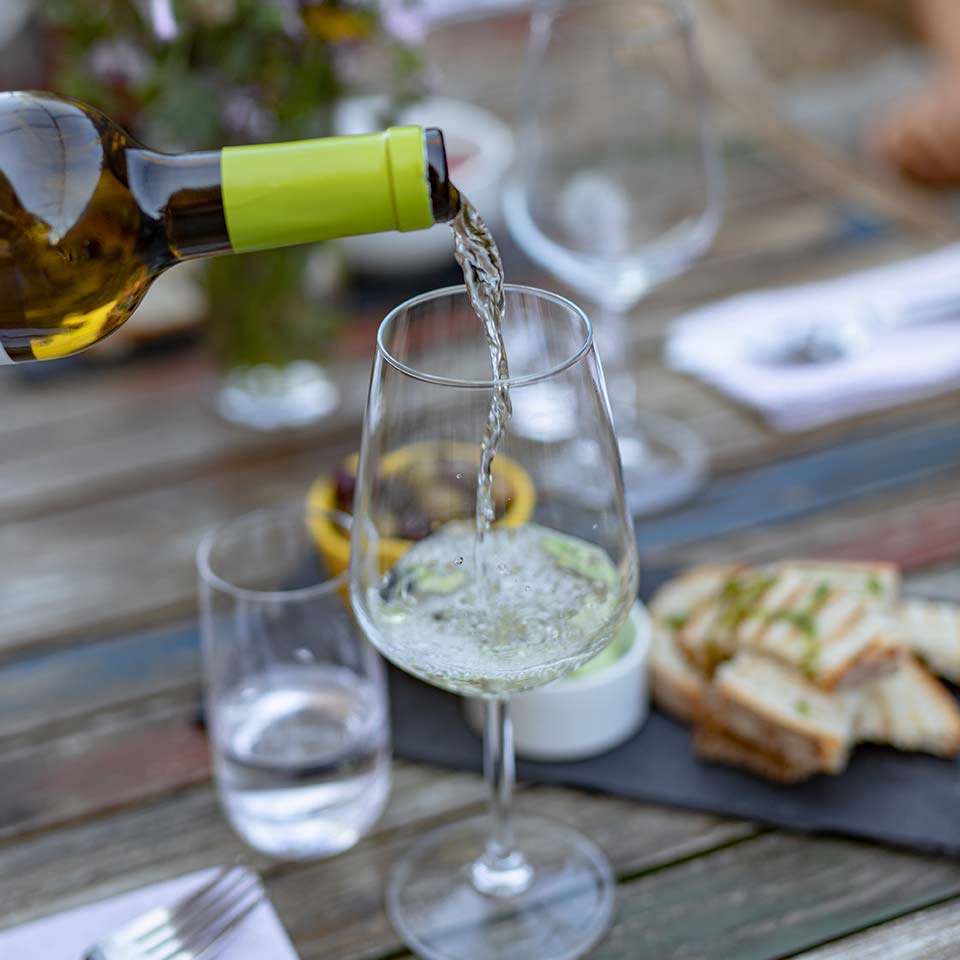 wines tasting bottle